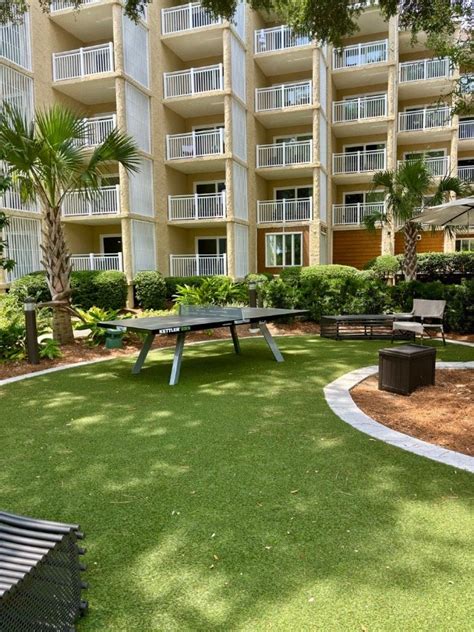 pet friendly hilton|pet friendly hilton head hotels.
